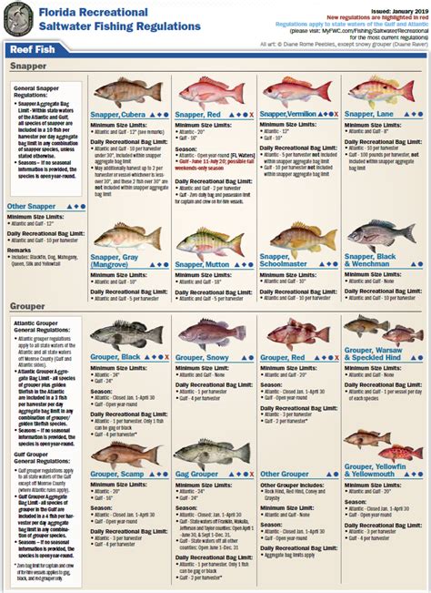 2024 Florida Red Snapper Season