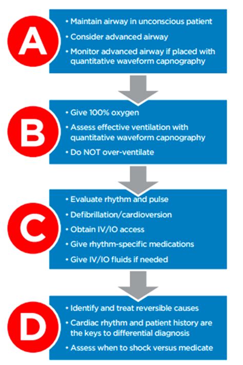Acls Which Of The Following Signs Likely Indicates Cardiac Arrest Acls Which Of The Following Signs Likely Indicates Cardiac Arrest
