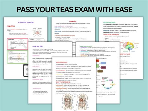 Ati Teas 7 Resources Pdf Free Ati Teas 7 Resources Free Practice Ati Teas 7 Resources Pdf Free Ati Teas 7 Resources Free Practice