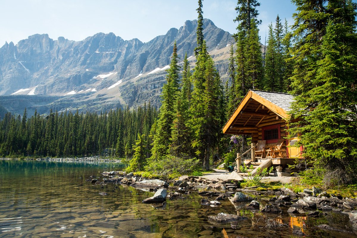 Bird Calling How To Be Successful Recreational Properties United Country Real Estate Bird Calling How To Be Successful Recreational Properties United Country Real Estate