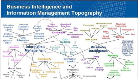 Business Intelligence And Information Management Topography Business