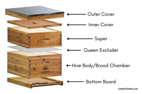 Beehive Components Explained