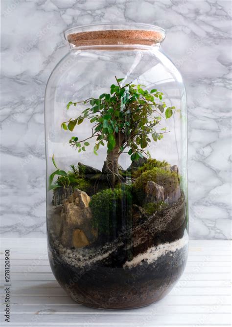 Ecosystem In A Jar What Is It And How To Create Your Own, 55% Off Ecosystem In A Jar What Is It And How To Create Your Own, 55% Off