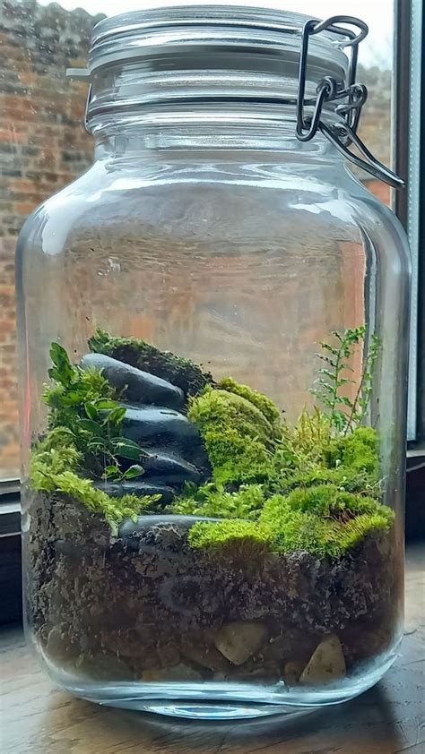 5 Ways Ecosystem Jar