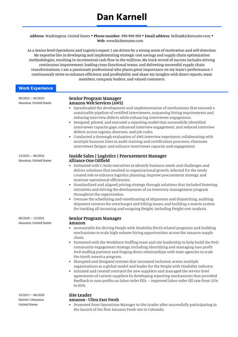 Esempio Di Curriculum Del Senior Program Manager Kickresume