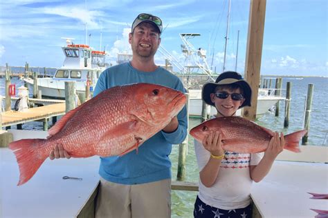Florida Gulf Red Snapper Season 2024 Cele Meggie Florida Gulf Red Snapper Season 2024 Cele Meggie