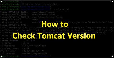 5 Ways Check Tomcat Version
