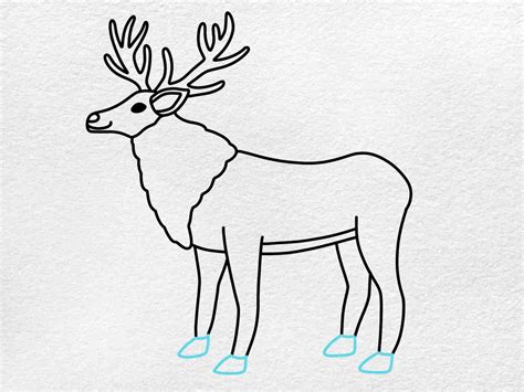 How To Draw A Reindeer Helloartsy How To Draw A Reindeer Helloartsy