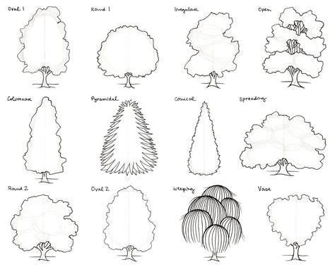 How To Draw Different Types Of Trees Step By Step So Easy For Beginners