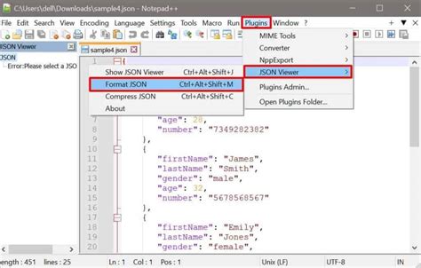 View JSON File Easily