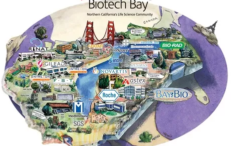 San Francisco IT Companies