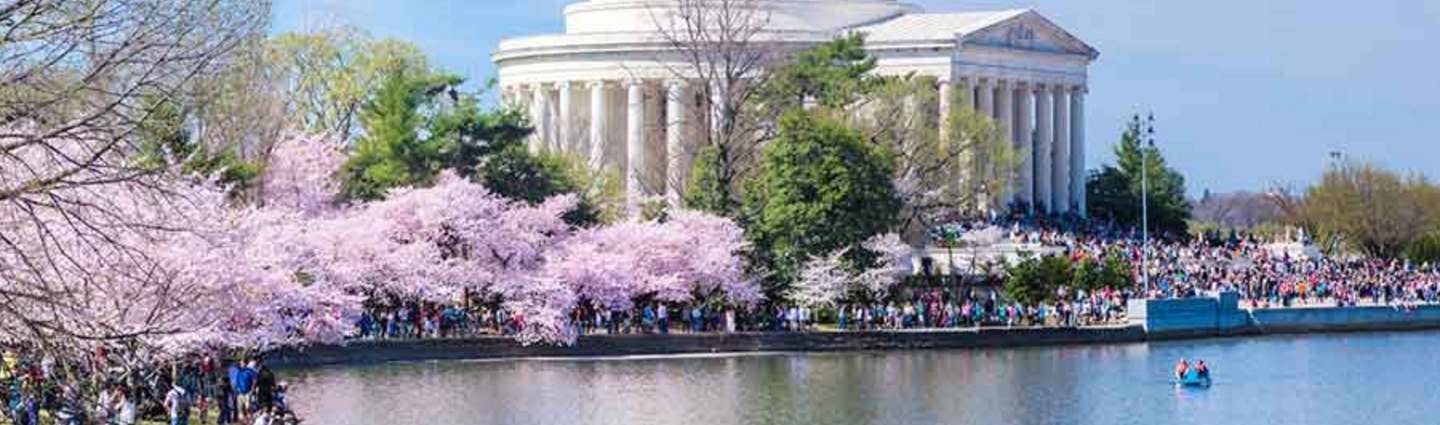 5 IT Jobs DC