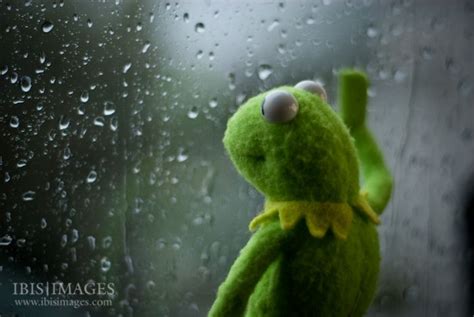 5 Ways Kermit