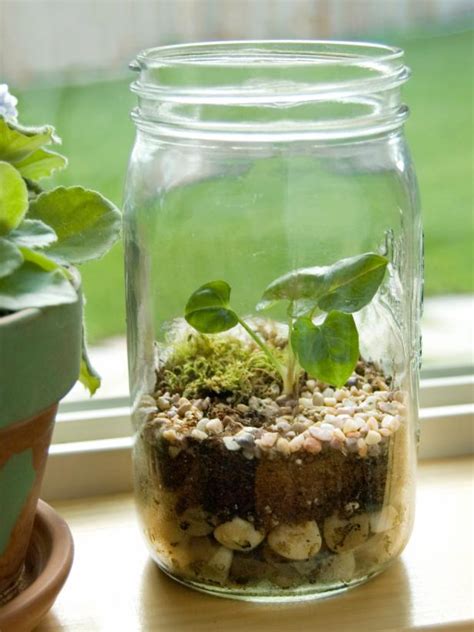 Making A Tiny Ecosystem Mason Jar Terrarium How To Make Making A Tiny Ecosystem Mason Jar Terrarium How To Make