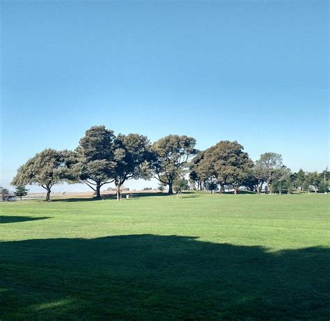 Marina Park San Leandro 2020 All You Need To Know Before You Go Marina Park San Leandro 2020 All You Need To Know Before You Go