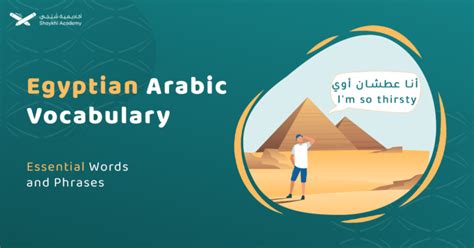Most 50 Common Egyptian Arabic Vocabulary With Sentences Examples Most 50 Common Egyptian Arabic Vocabulary With Sentences Examples
