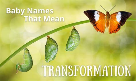 7 Names Mean Transformation