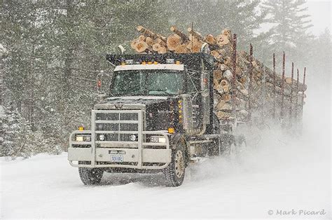 New Logging Show on Discovery