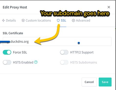 Nginx Proxy Manager Internal Error Fix
