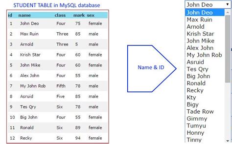 Populating Drop Down List Options Collecting Data Or Records From Mysql