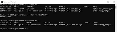Remove Docker Containers By Id Name Or Date Remove Docker Containers By Id Name Or Date