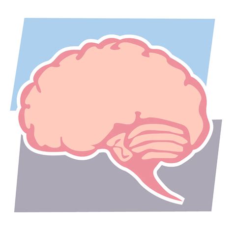 Scientists Build Largest Ever Map Of Human Brain The Ticker Scientists Build Largest Ever Map Of Human Brain The Ticker