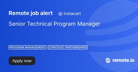 Senior Technical Program Manager Remote Io Senior Technical Program Manager Remote Io