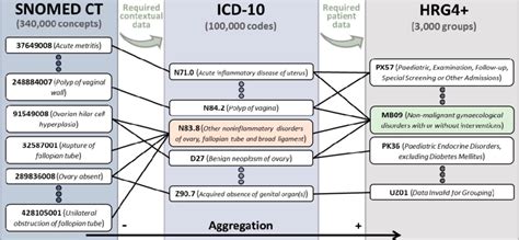 5 Snomed CT vs ICD10 Differences