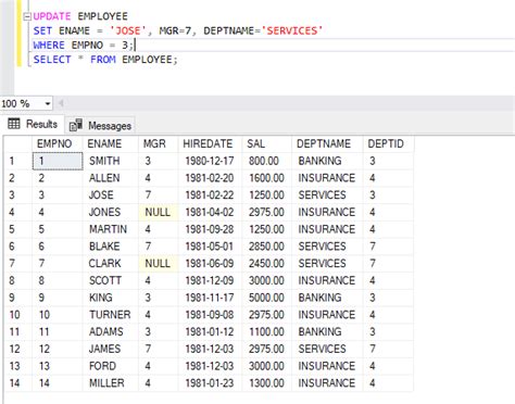 Update Multiple Columns with SQL Query