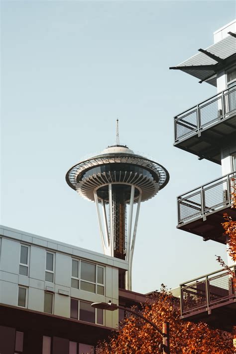 5 Seattle Startup Jobs