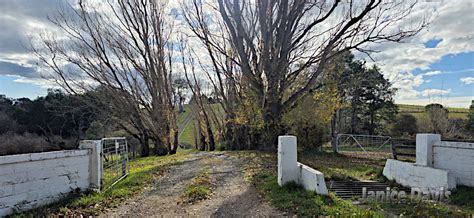 Thoughts Happenings Out Westwood Way Tasmania Thoughts Happenings Out Westwood Way Tasmania