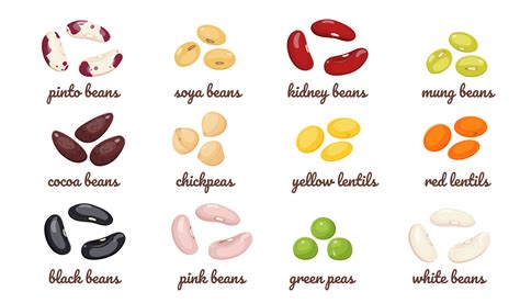 Bean Connection Types