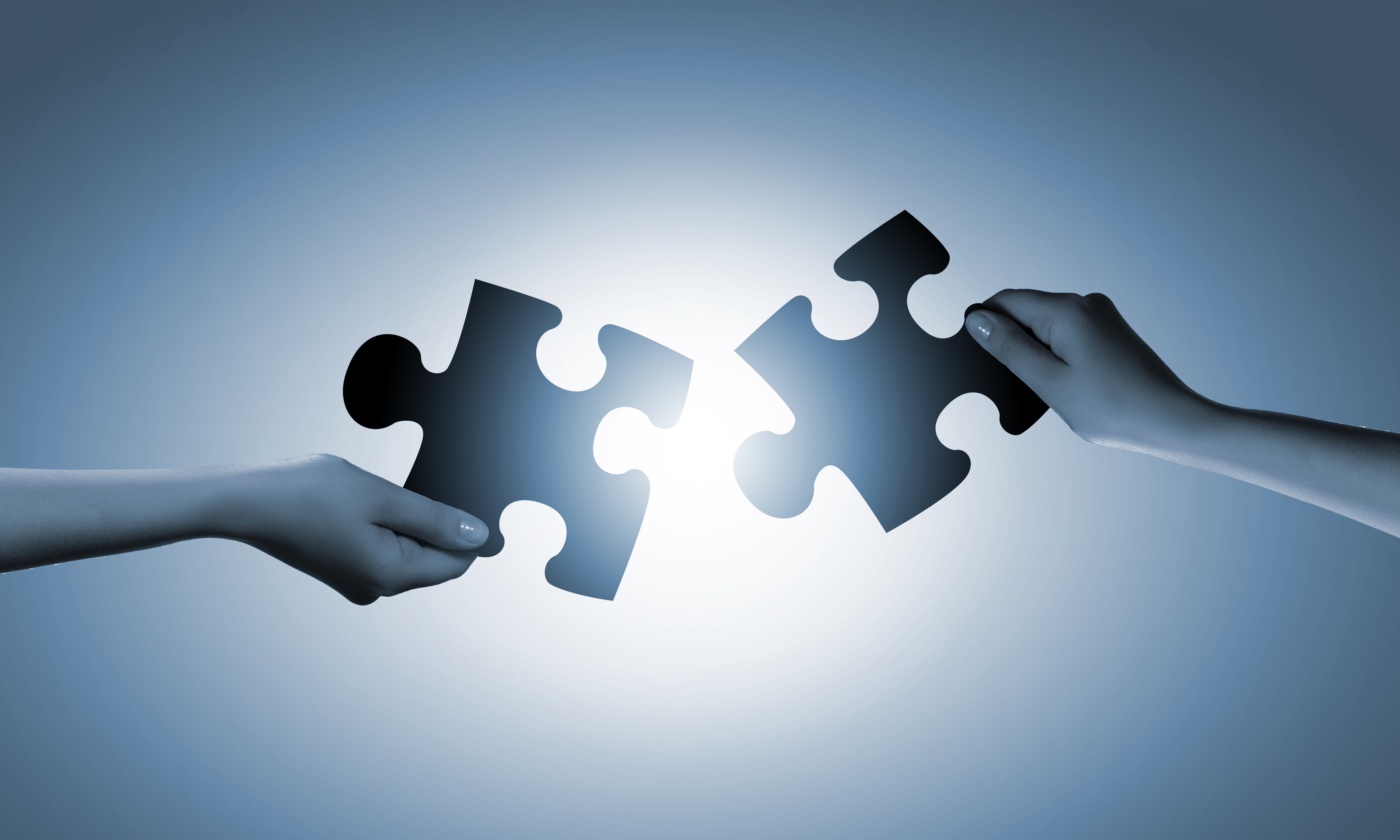 Understanding The Differences Between Data Science And Bi Understanding The Differences Between Data Science And Bi