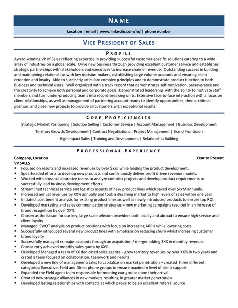 Vice President Of Sales Resume Sample Template Vice President Of Sales Resume Sample Template