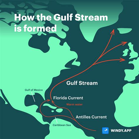 What You Should Know About The Gulf Stream Windy App
